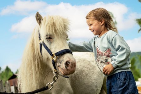 Passeggiate a cavallo in una fattoria altoatesina