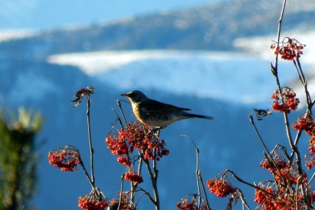 Vacanze autunnali nella natura 