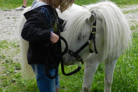 Pony reiten am Südtiroler Bauernhof