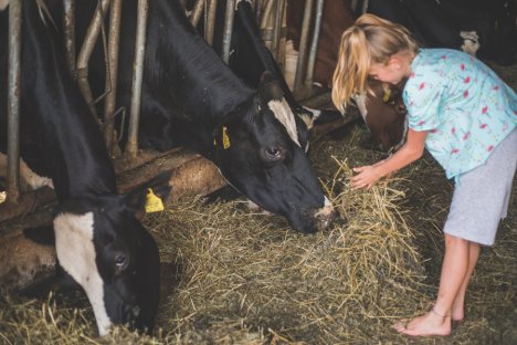 Kinder fasziniert das Leben am Bauernhof