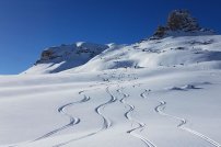 Wildbeobachtung beim Schneeschuhwandern am Ritten / Südtirol